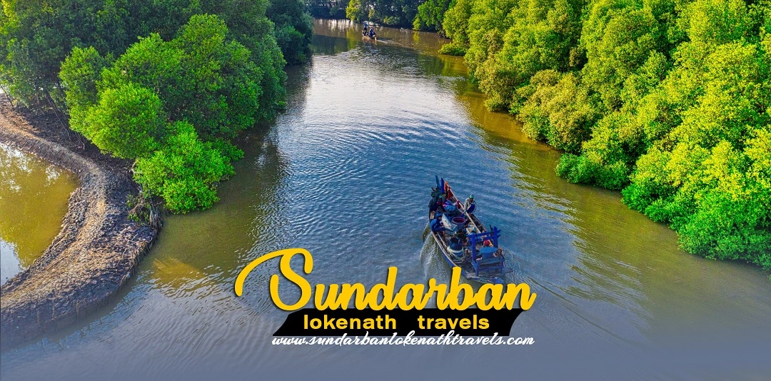 Sundarban Lokenath Travels
