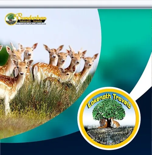 Sundarban Tour 1 Night 2 Days