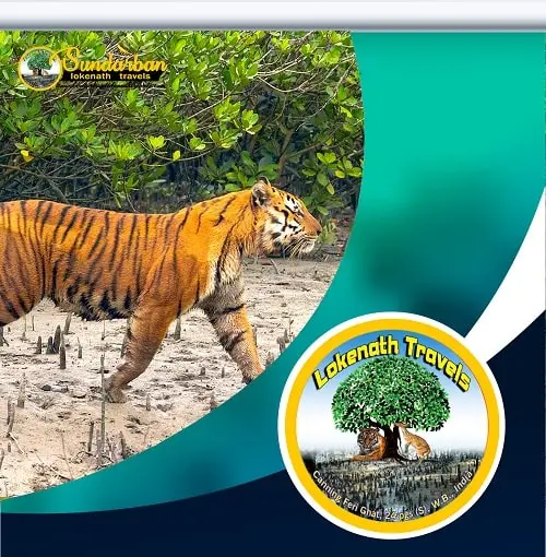 Sundarban Tour 3 Days 2 Night