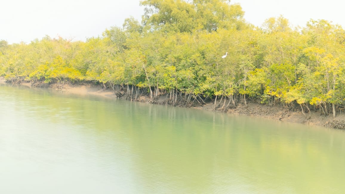 Sundarban Tour Package