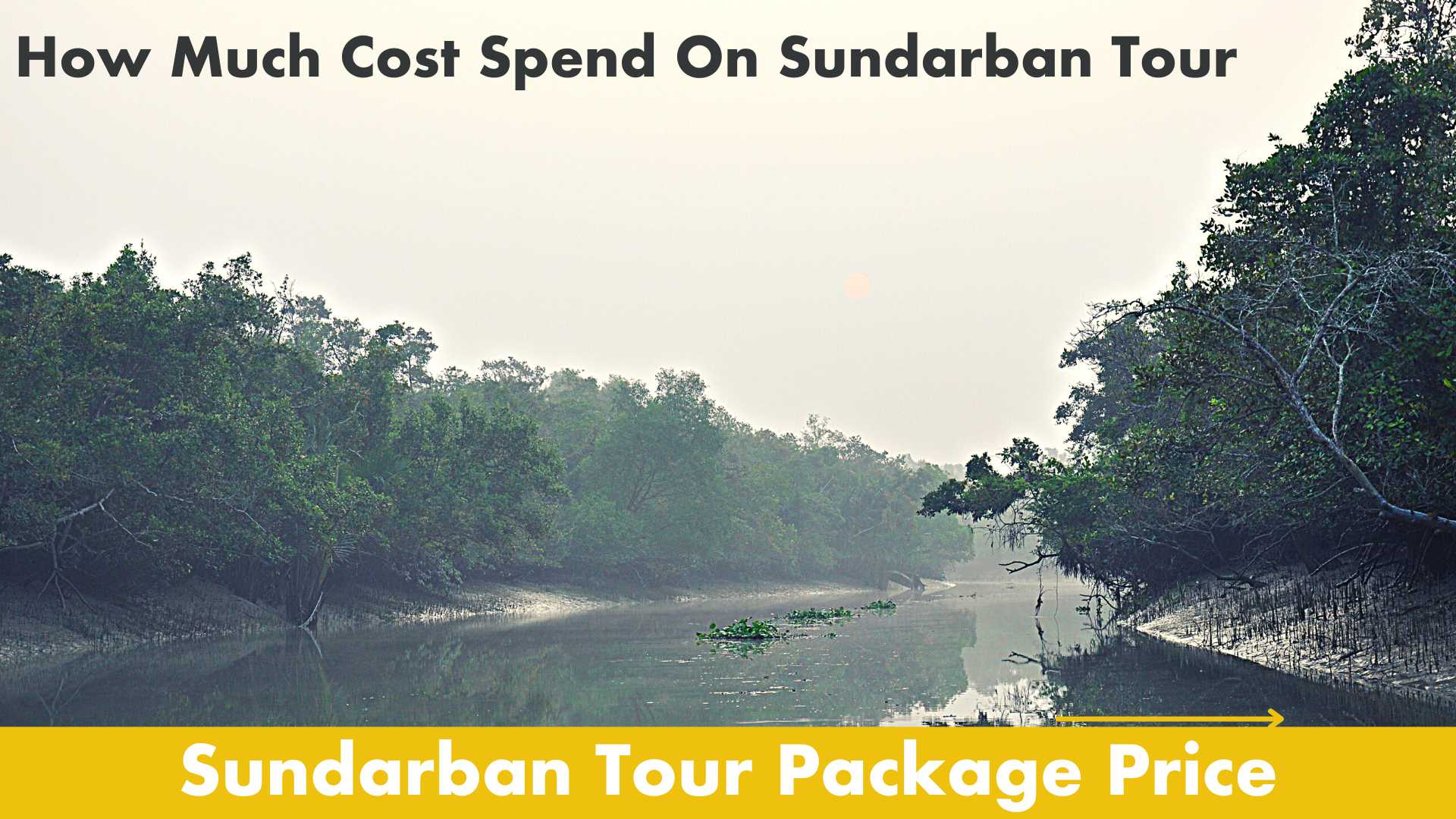 Sundarban Tour Package Price