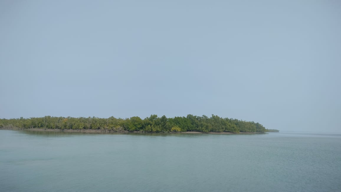 Sundarban Delta